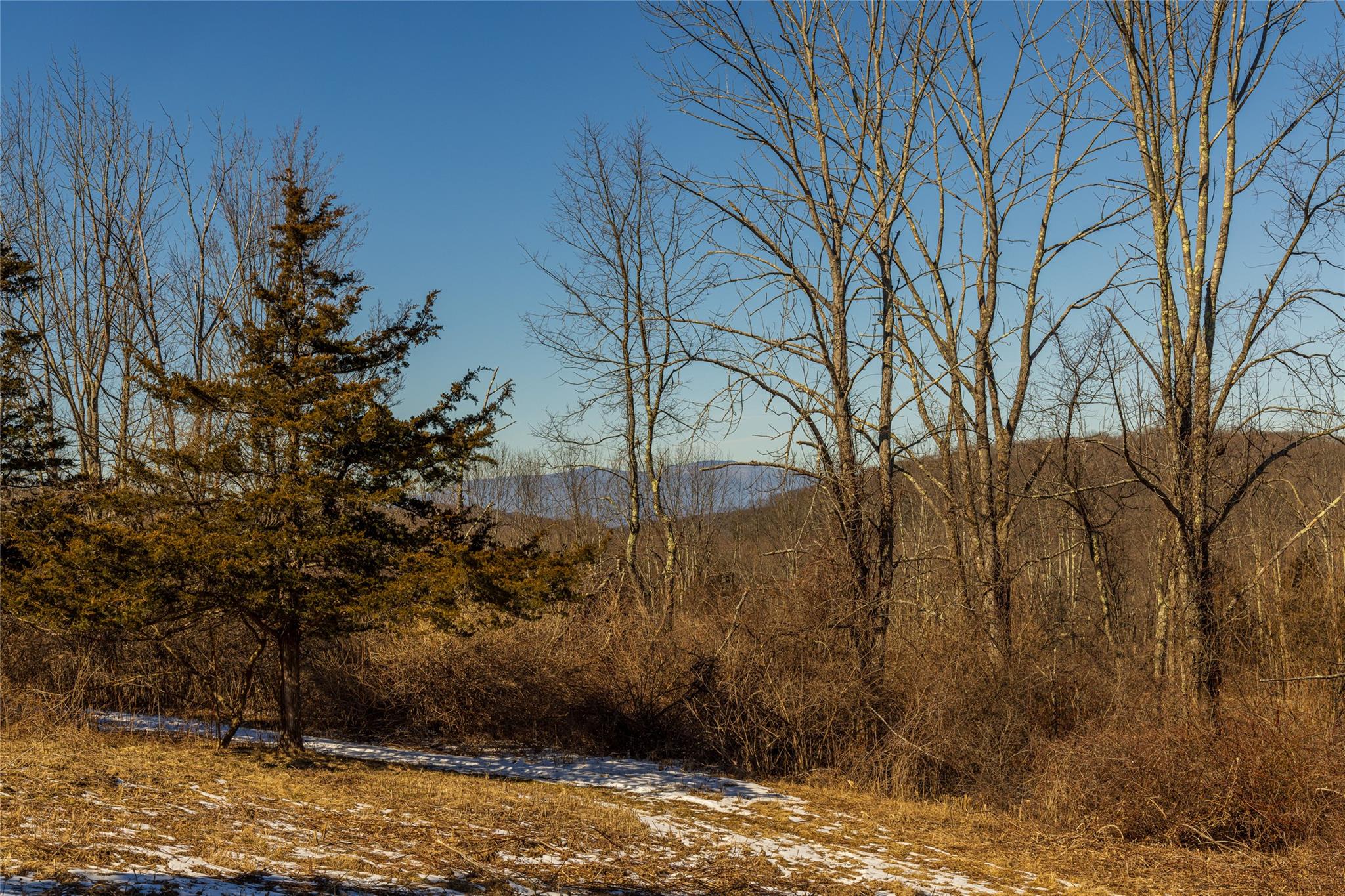 #3 photo, State Route 199 Road, Red Hook , NY 12571