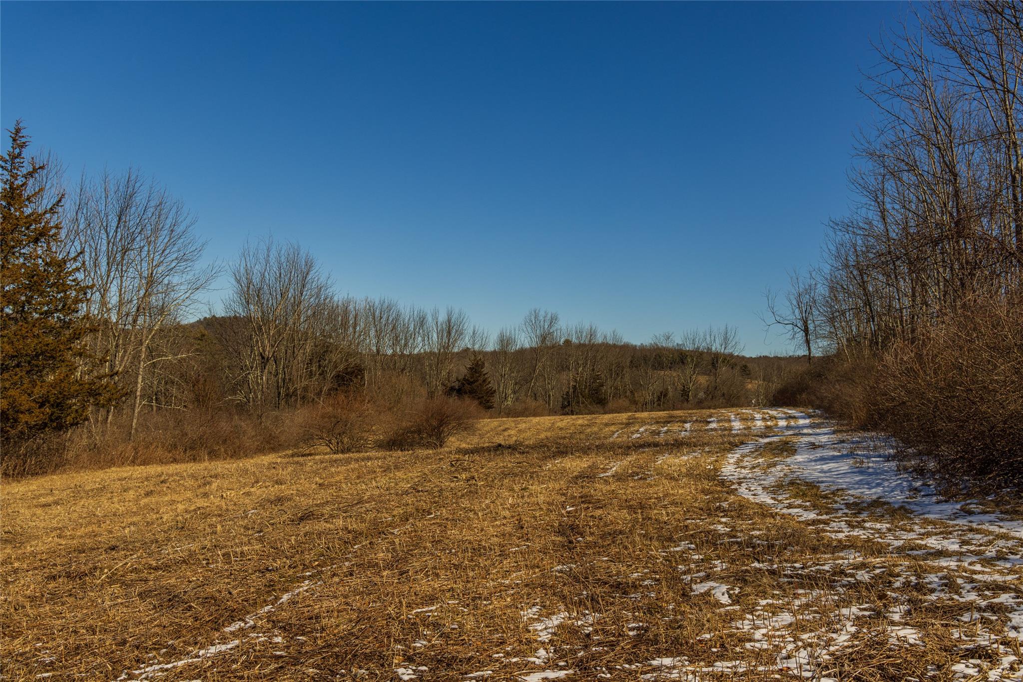 #4 photo, State Route 199 Road, Red Hook , NY 12571