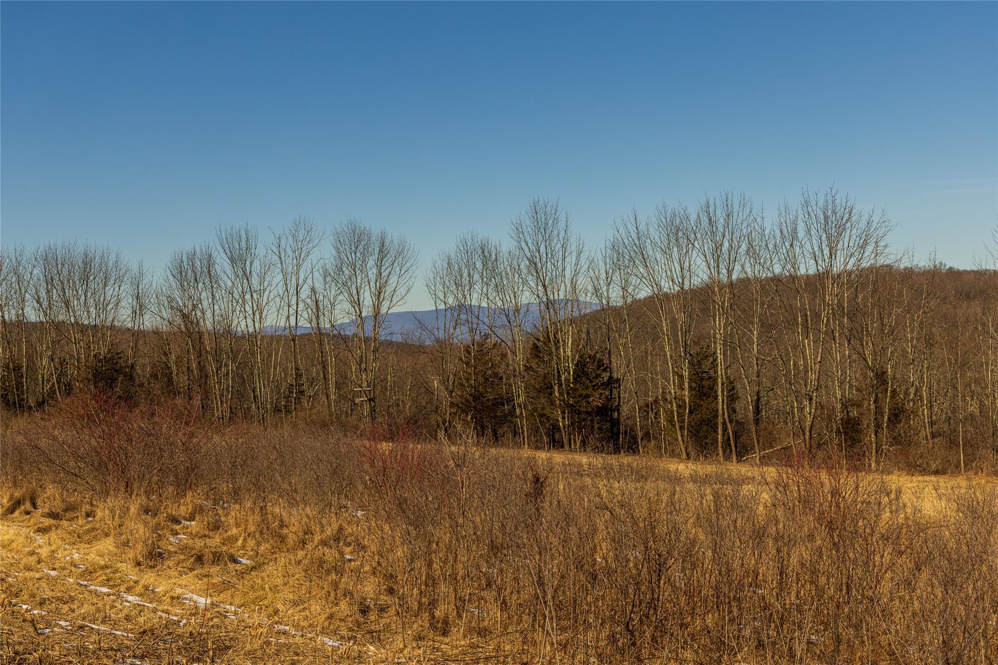 #5 photo, State Route 199 Road, Red Hook , NY 12571