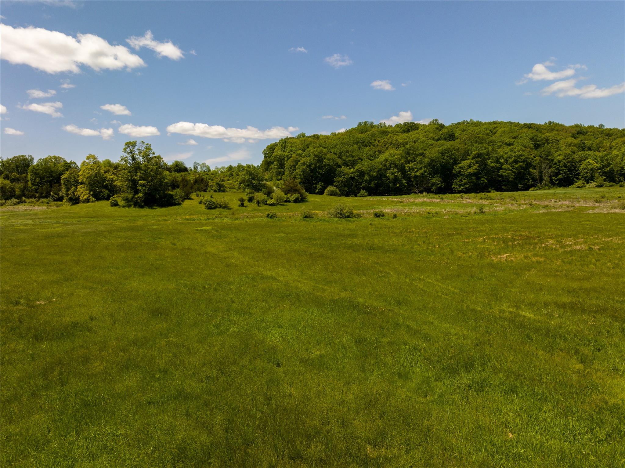 #3 photo, Rowe Road, Red Hook , NY 12571