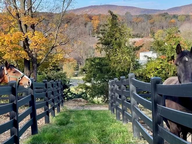 #8 photo, 2680 Route 9, Cold Spring , NY 10516