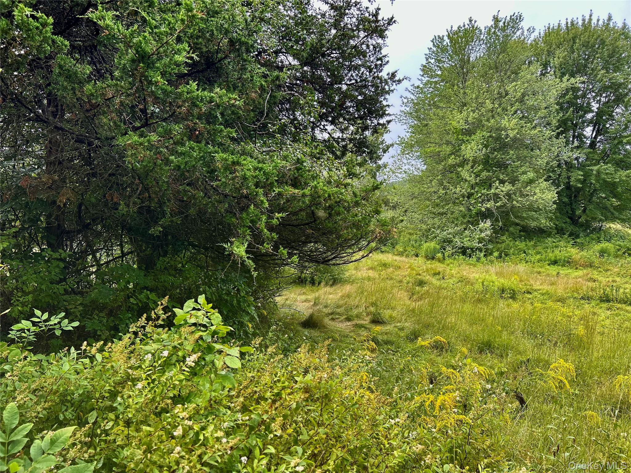 #10 photo, County Route 10, Ancram , NY 12502