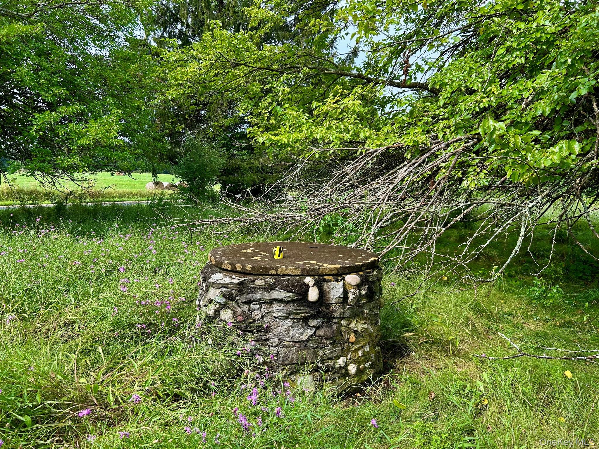 #11 photo, County Route 10, Ancram , NY 12502