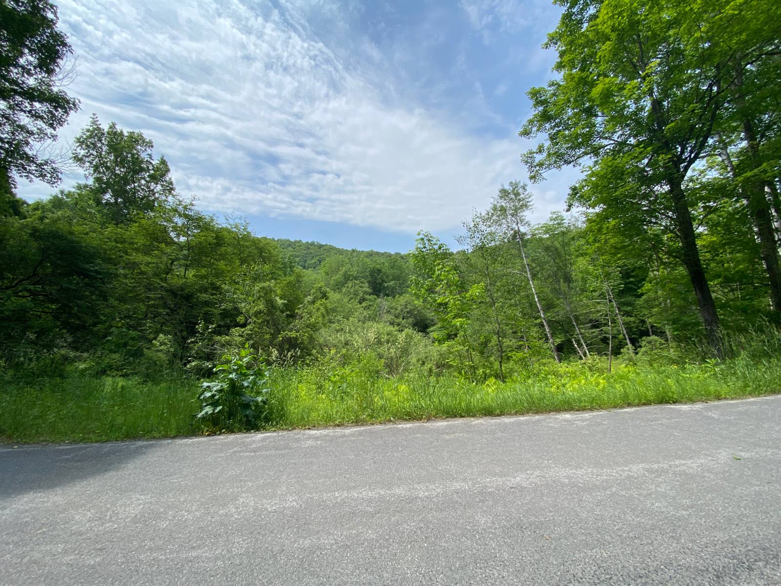 #2 photo, 0 East Handsome Brook Rd., Franklin , NY 13775