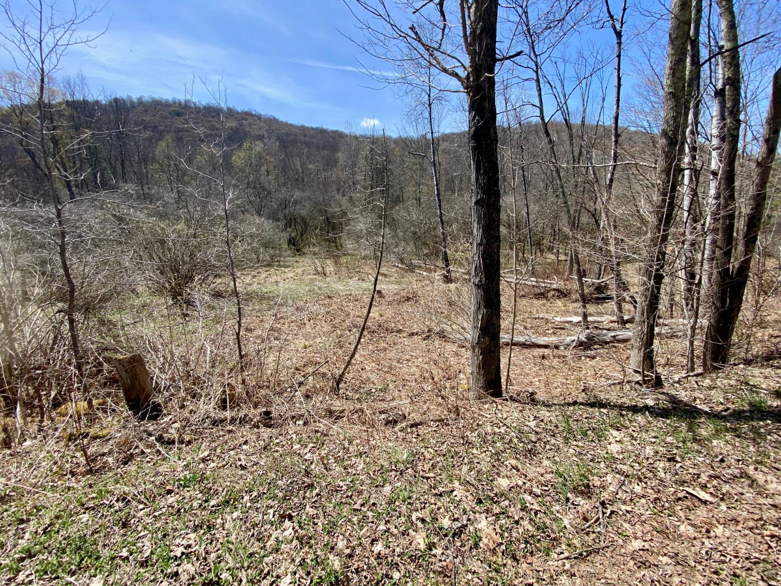 #4 photo, 0 East Handsome Brook Rd., Franklin , NY 13775