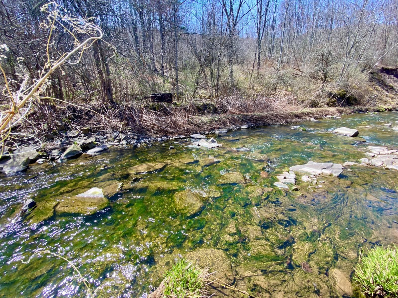 #5 photo, 0 East Handsome Brook Rd., Franklin , NY 13775