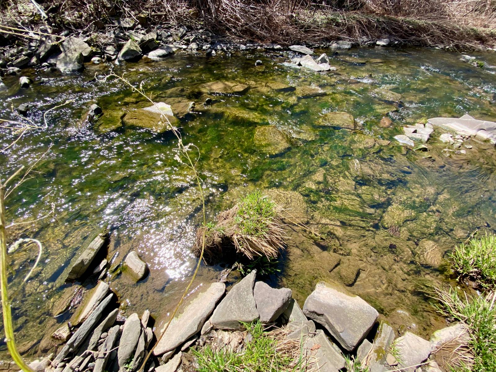 #6 photo, 0 East Handsome Brook Rd., Franklin , NY 13775