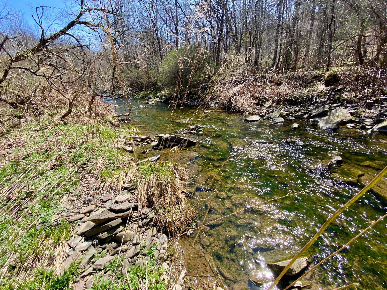 #7 photo, 0 East Handsome Brook Rd., Franklin , NY 13775