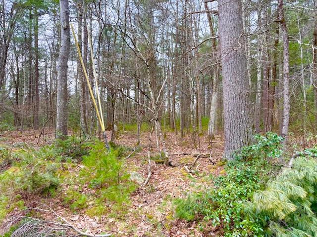#4 photo, LOT 34 Pine Kill Road Pine Kill Road, Wurtsboro , NY 12790