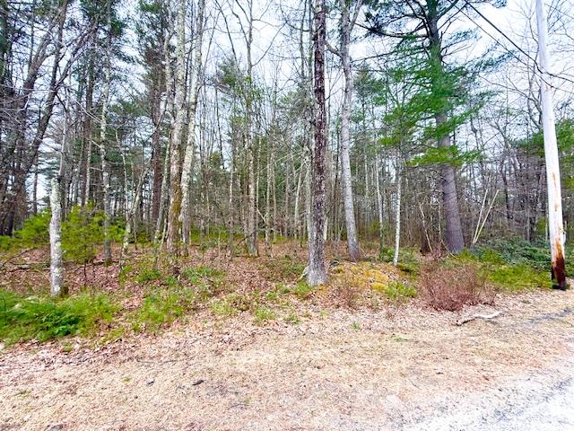 #5 photo, LOT 34 Pine Kill Road Pine Kill Road, Wurtsboro , NY 12790