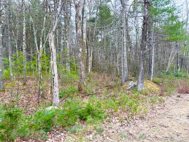 #8 photo, LOT 34 Pine Kill Road Pine Kill Road, Wurtsboro , NY 12790
