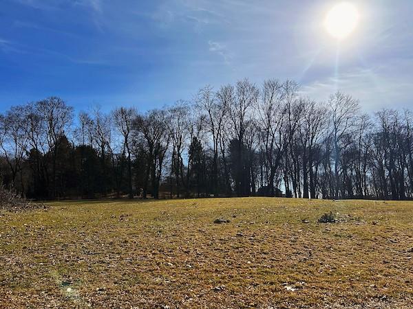 #3 photo, Sherman Avenue, Dobbs Ferry , NY 10522