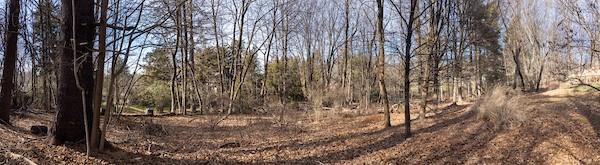 #6 photo, Sherman Avenue, Dobbs Ferry , NY 10522