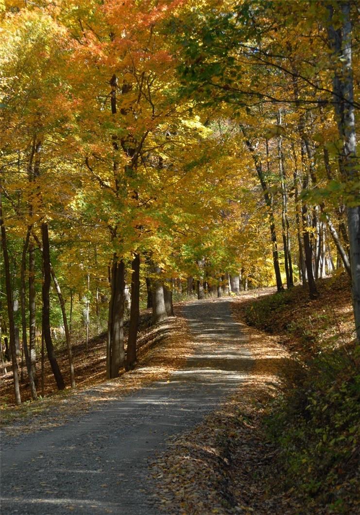 #7 photo, 450 E Ancram Road, ANCRAMDALE , NY 12503