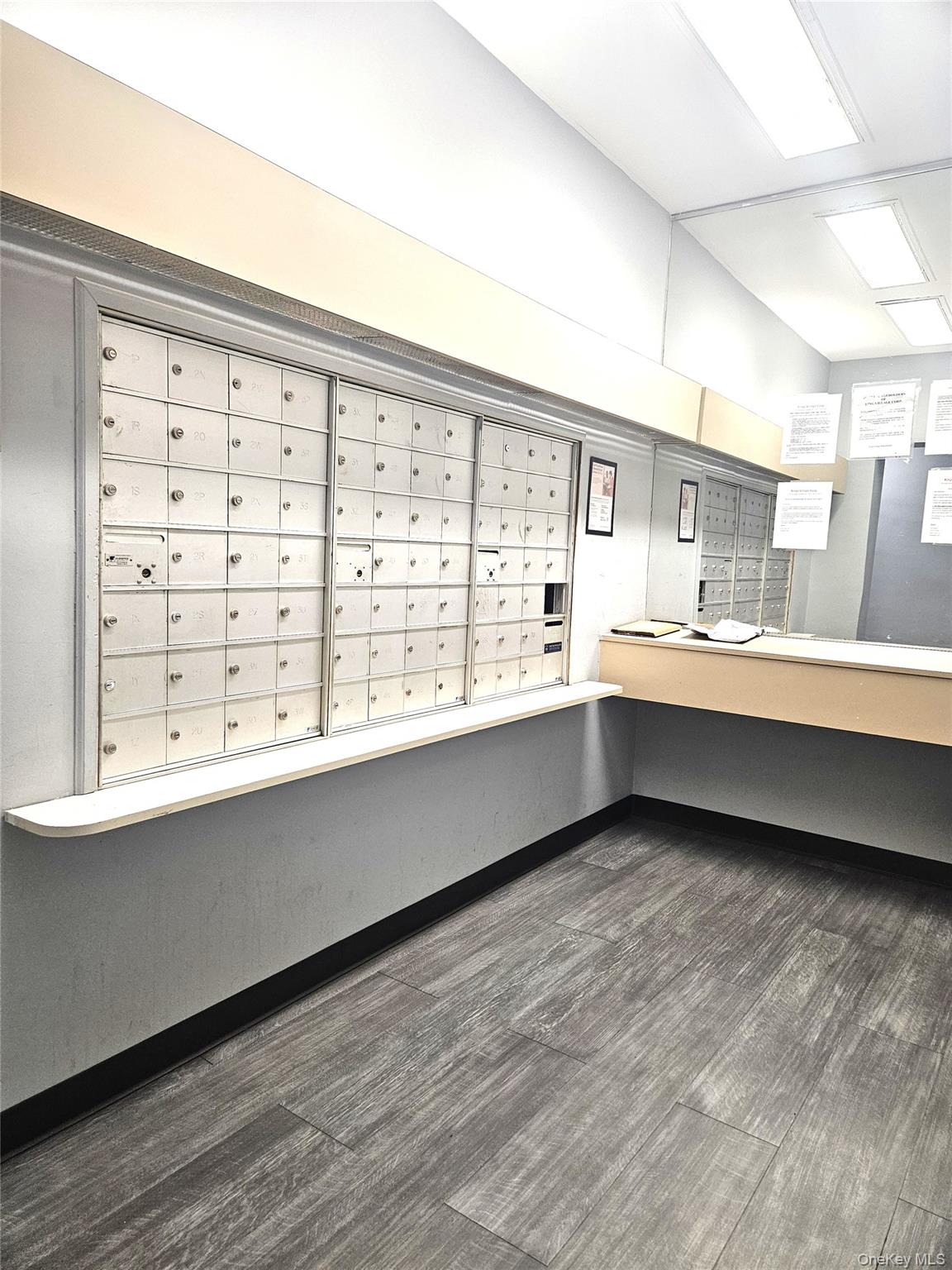 #12 photo, 1165 54th Street, ブルックリン区 Brooklyn , NY 11234