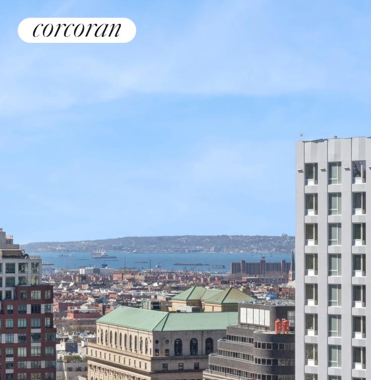 #6 photo, 365 BRIDGE Street, Downtown Brooklyn , NY 11201