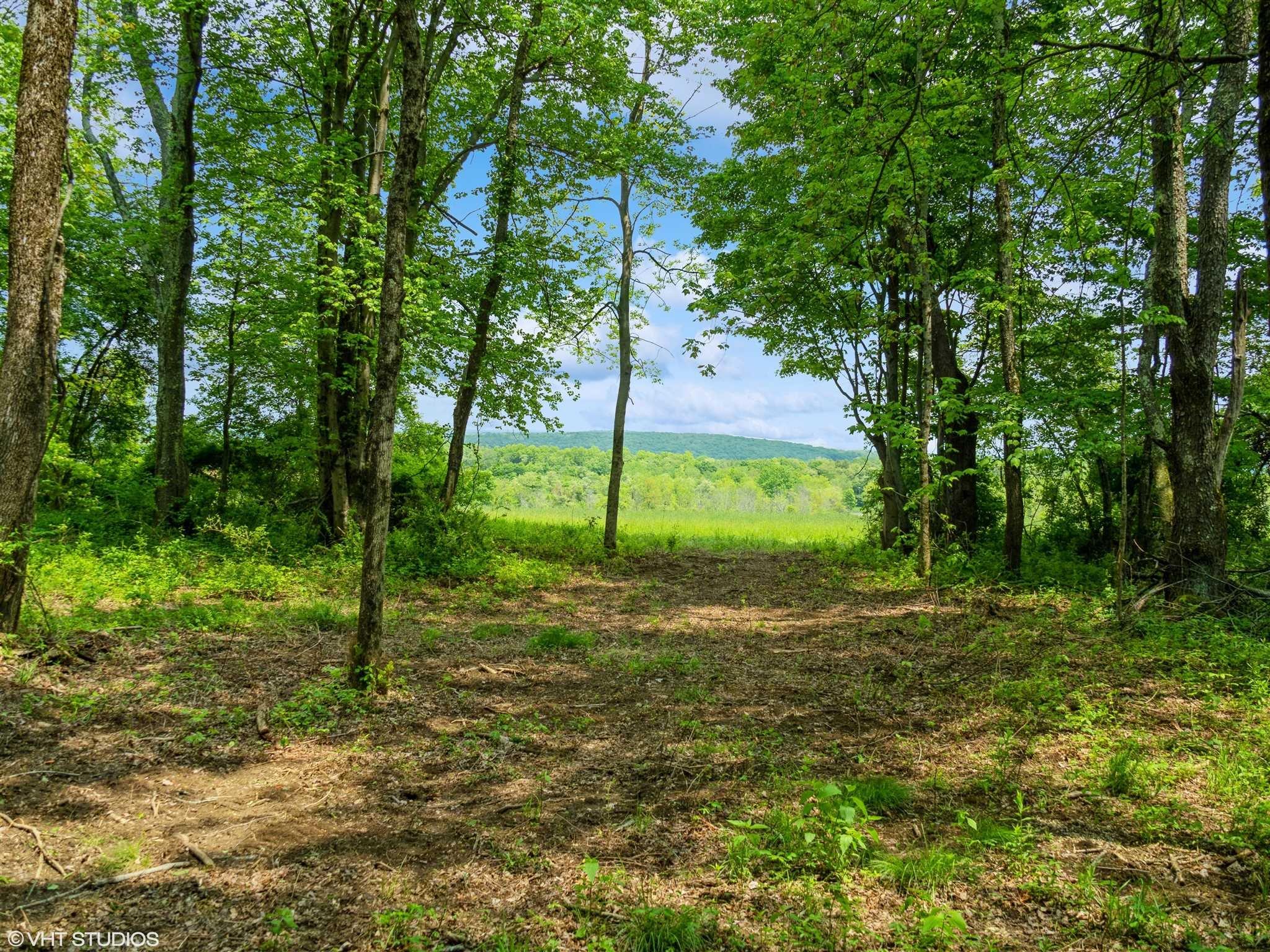 #19 photo, SKUNKS MISERY Lot 1 Road, Millerton , NY 12546