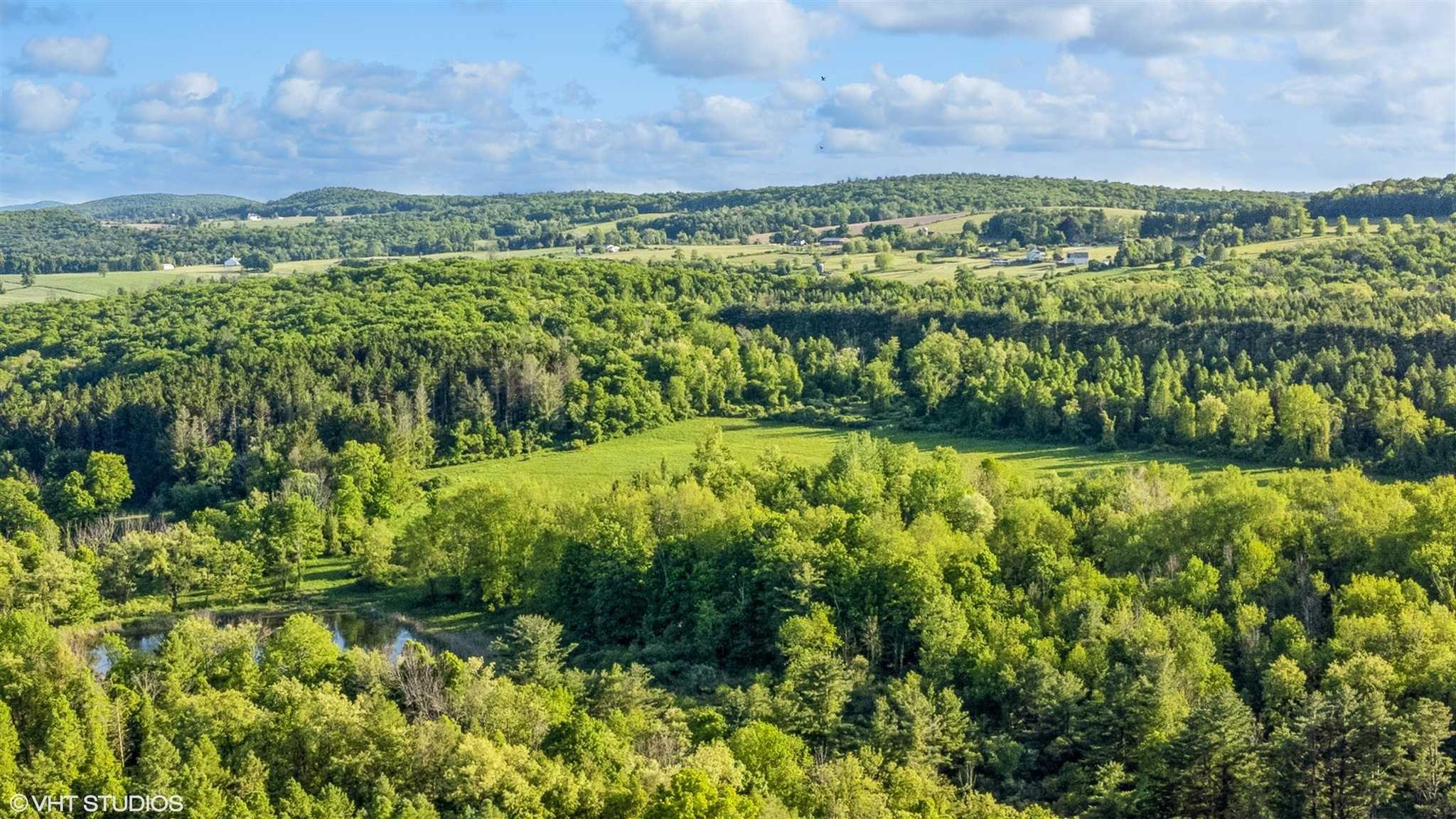 #6 photo, SKUNKS MISERY Lot 2 Road, Millerton , NY 12546