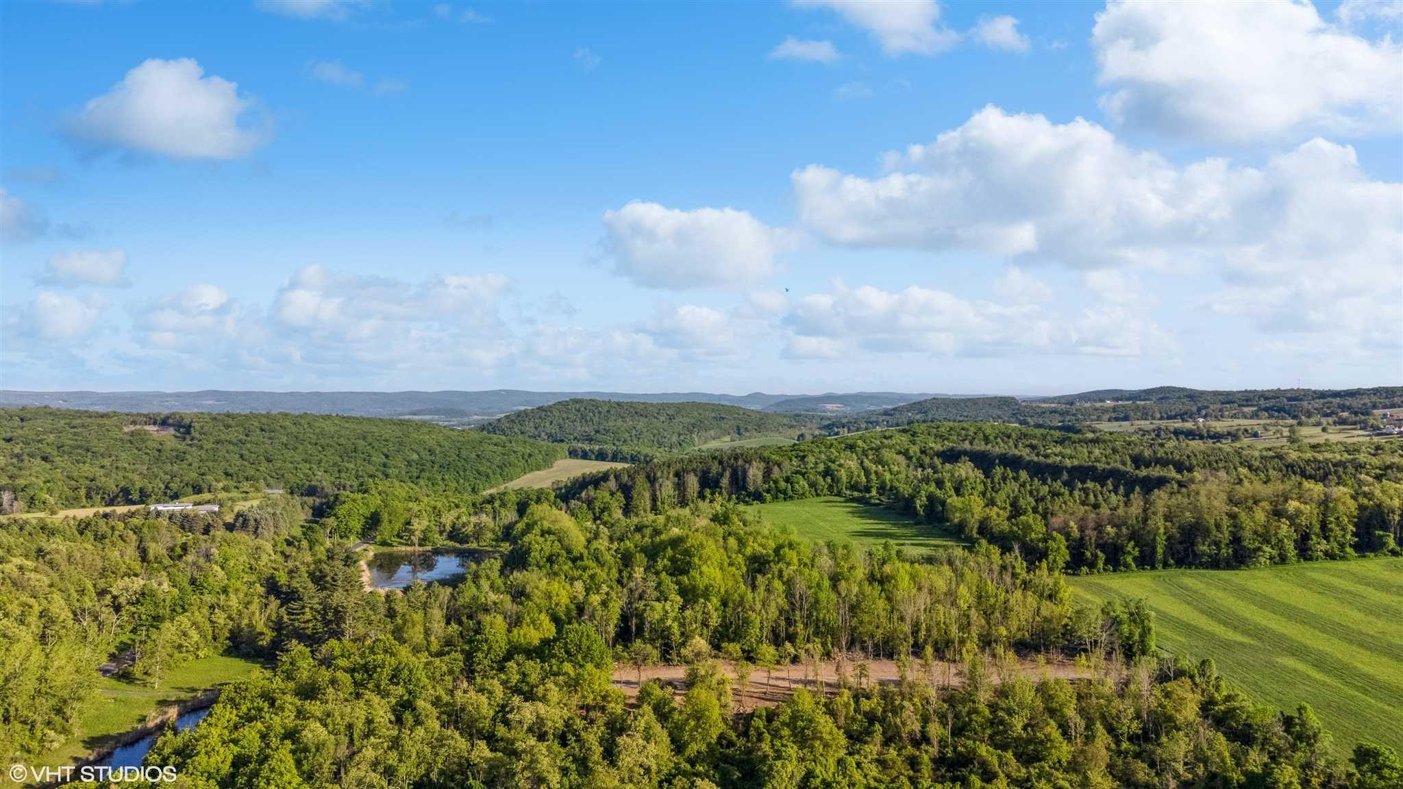 #8 photo, SKUNKS MISERY Lot 3 Road, Millerton , NY 12546