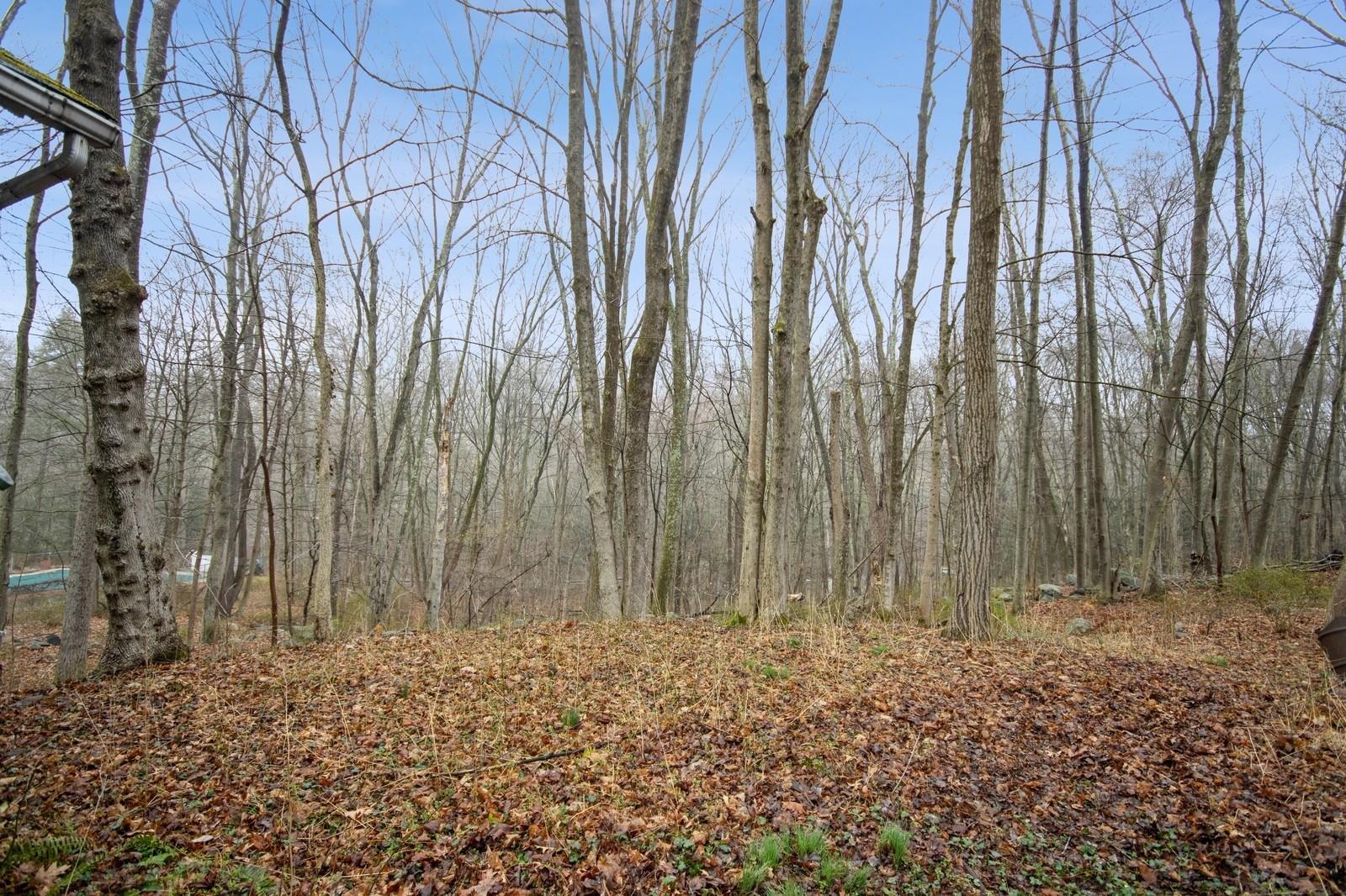 #8 photo, 14 Berry Hill, Putnam Valley , NY 10579