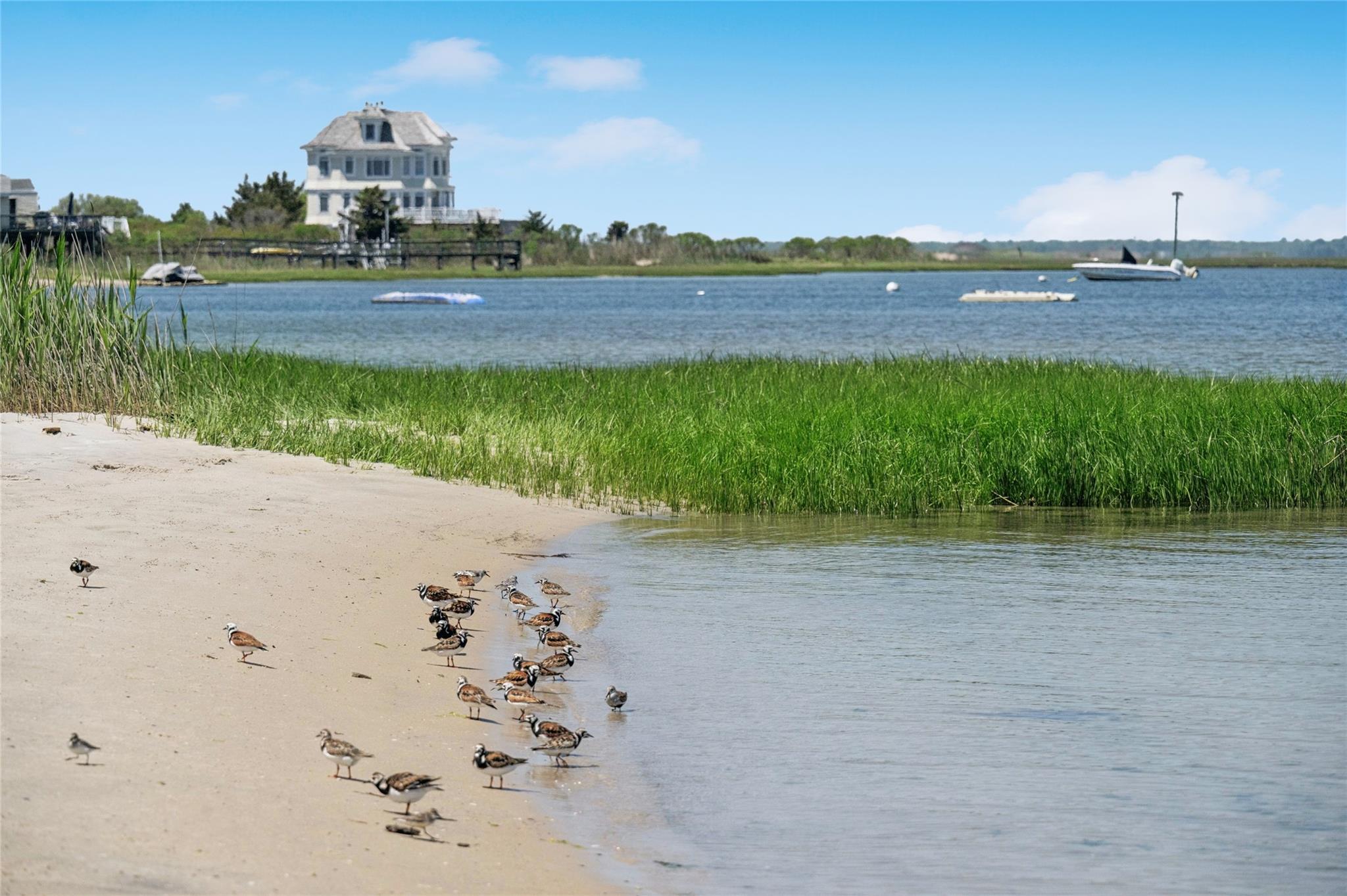 #8 photo, 846 Dune Road, サフォーク郡 Westhampton Beach , NY 11978