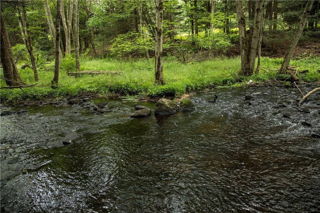 #10 photo, Misty Acres Lot 7 & 8, White Lake , NY 12786