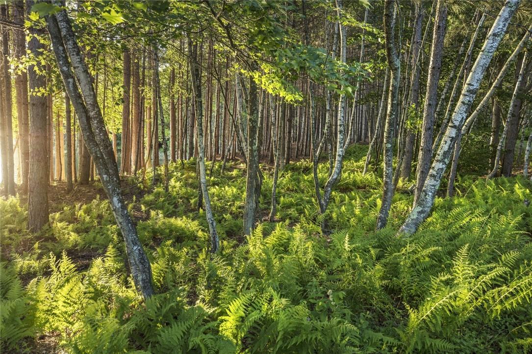 #2 photo, Misty Acres Lot 7 & 8, White Lake , NY 12786