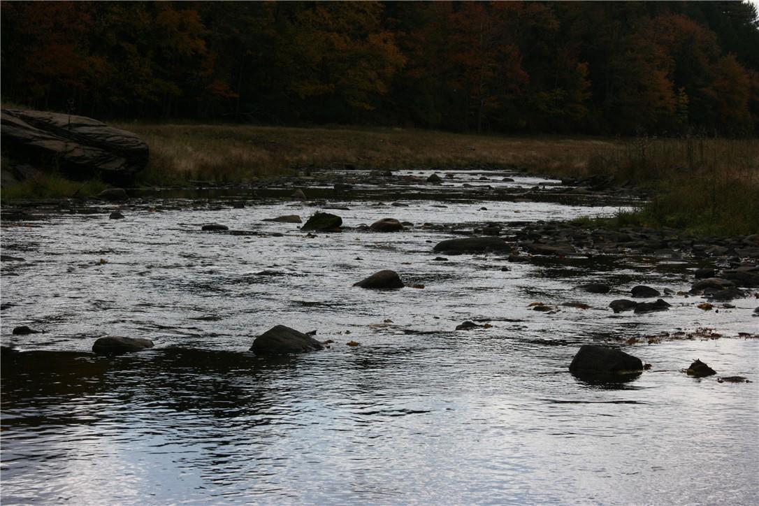 #6 photo, Misty Acres Lot 7 & 8, White Lake , NY 12786