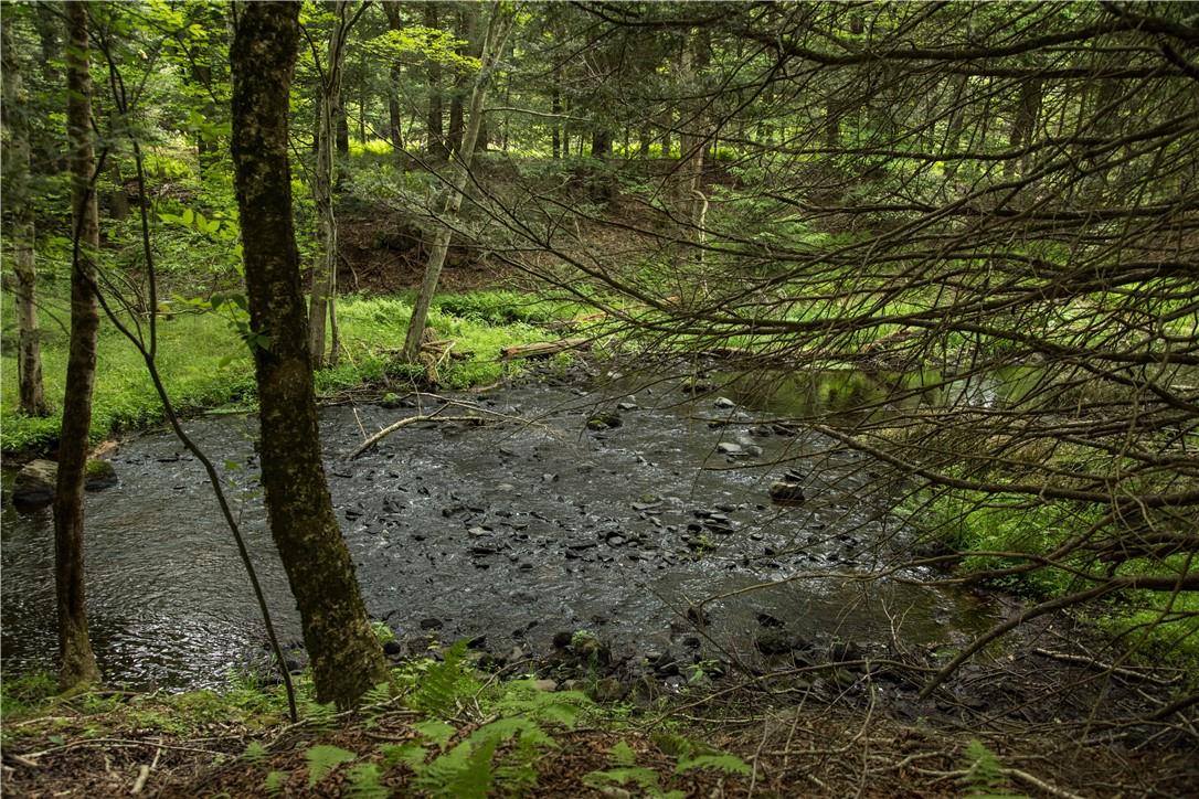 #9 photo, Misty Acres Lot 7 & 8, White Lake , NY 12786