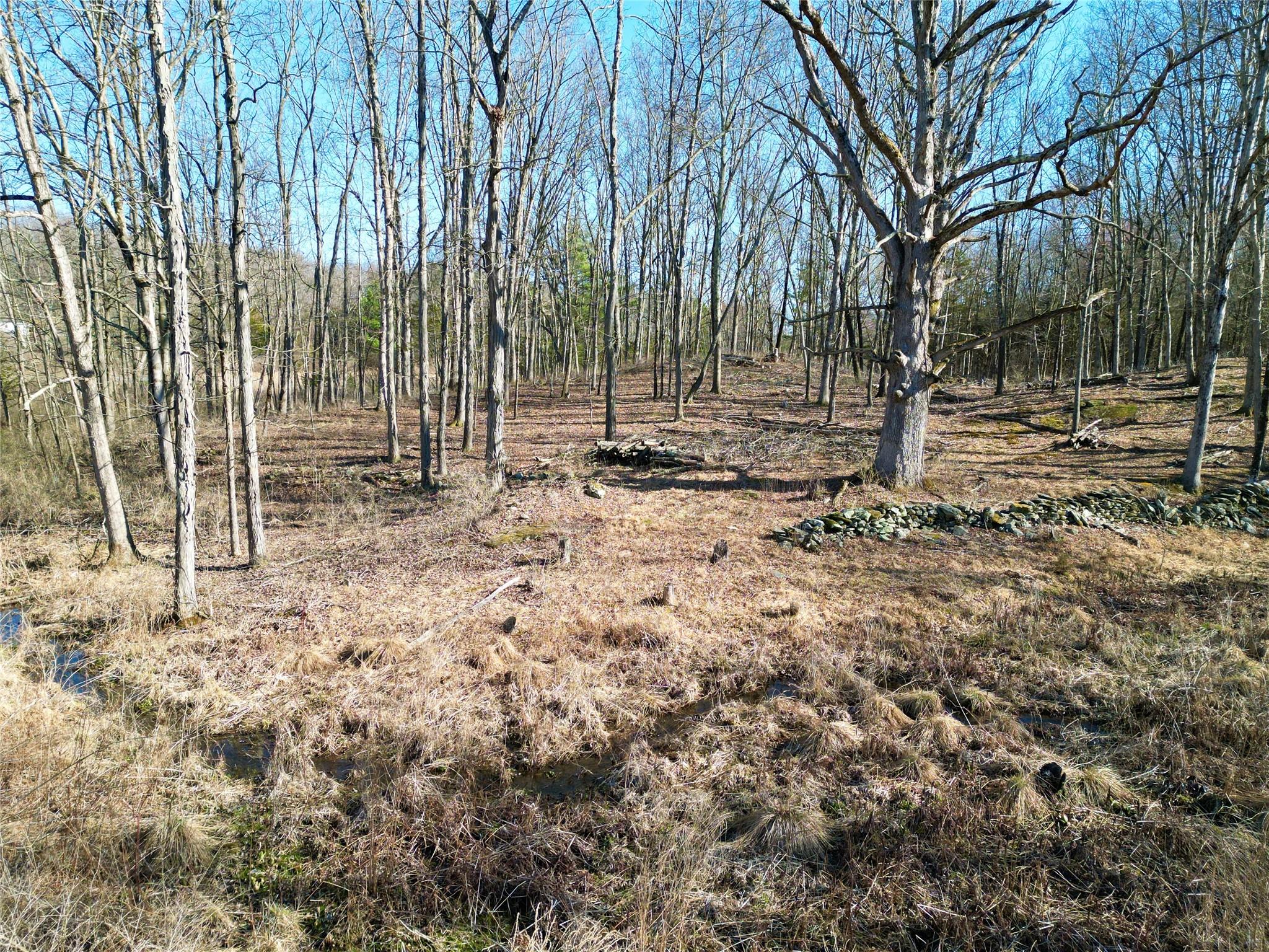 #4 photo, Rt-9G, Rhinebeck , NY 12572