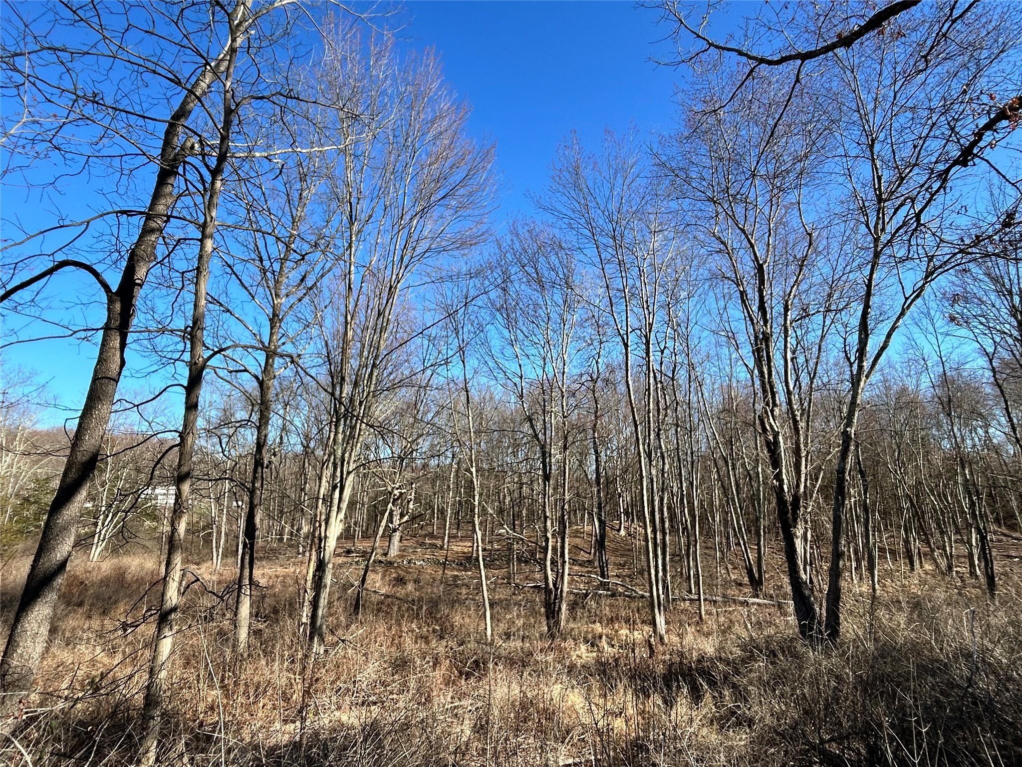 #5 photo, Rt-9G, Rhinebeck , NY 12572