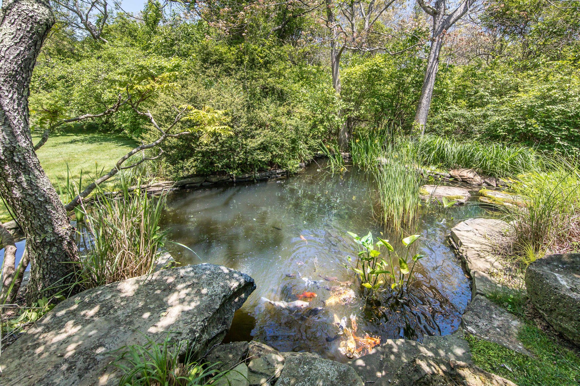 #29 photo, 448 Further Lane, サフォーク郡 East Hampton , NY 11937