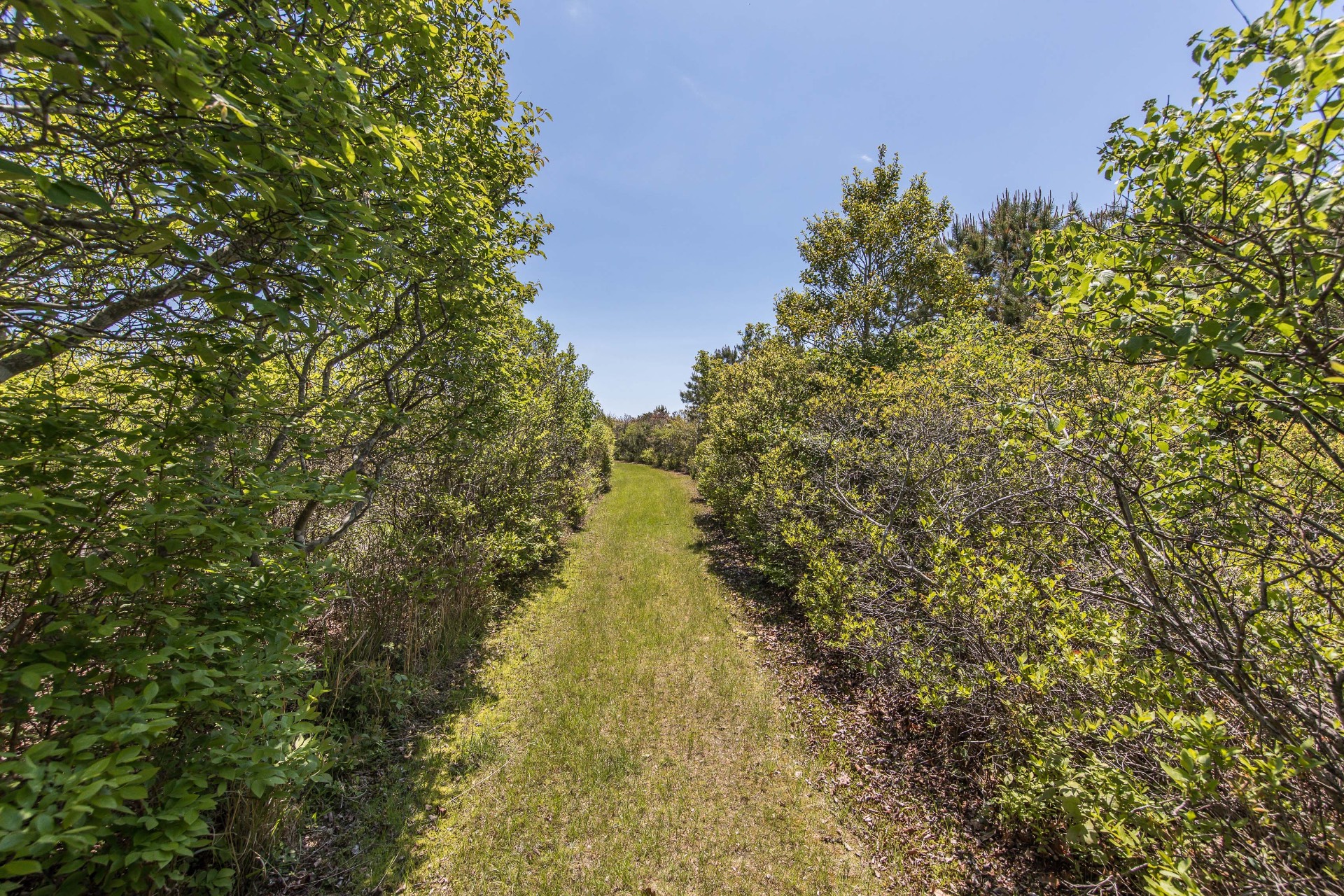 #30 photo, 448 Further Lane, サフォーク郡 East Hampton , NY 11937