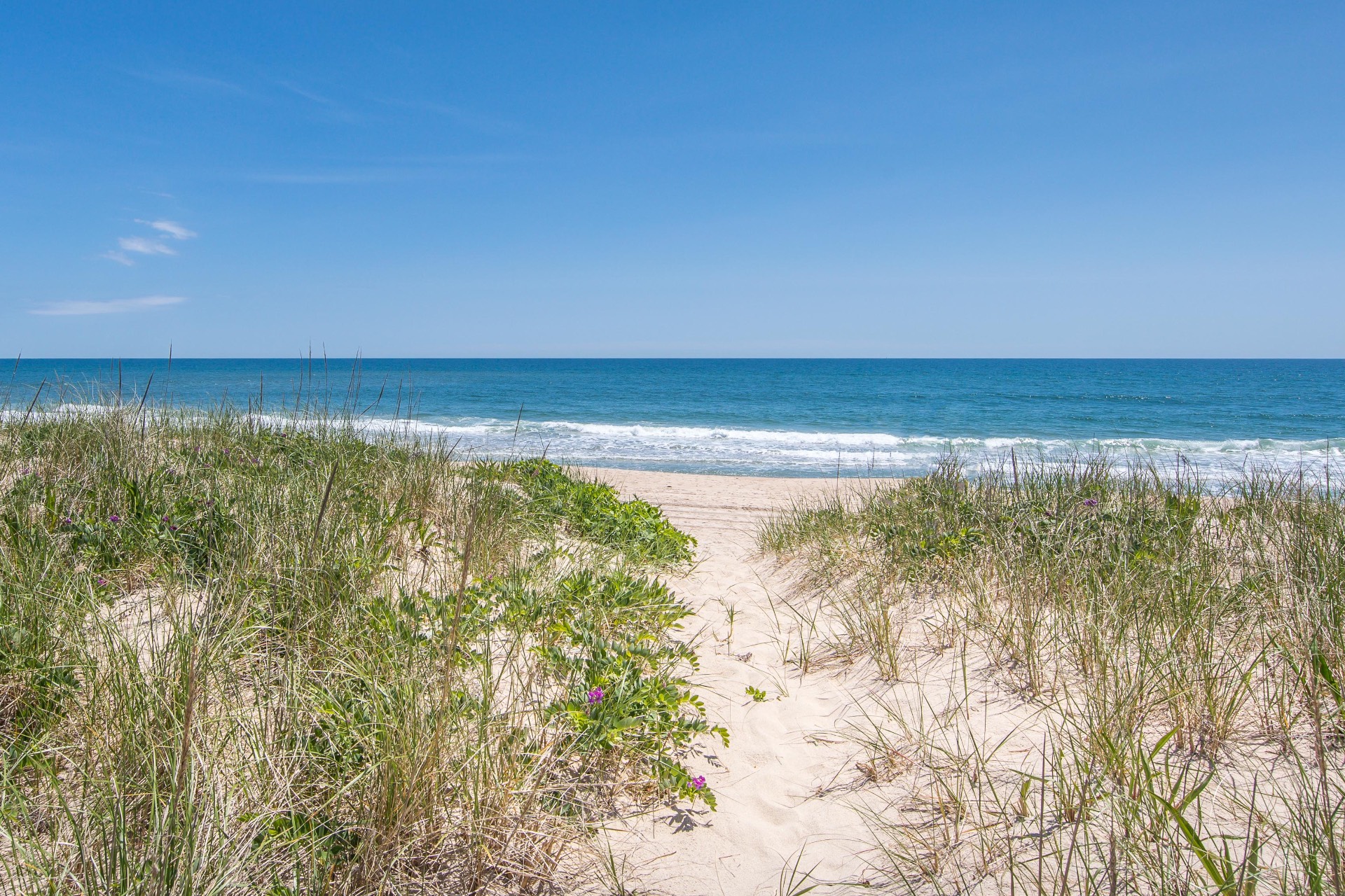 #31 photo, 448 Further Lane, サフォーク郡 East Hampton , NY 11937