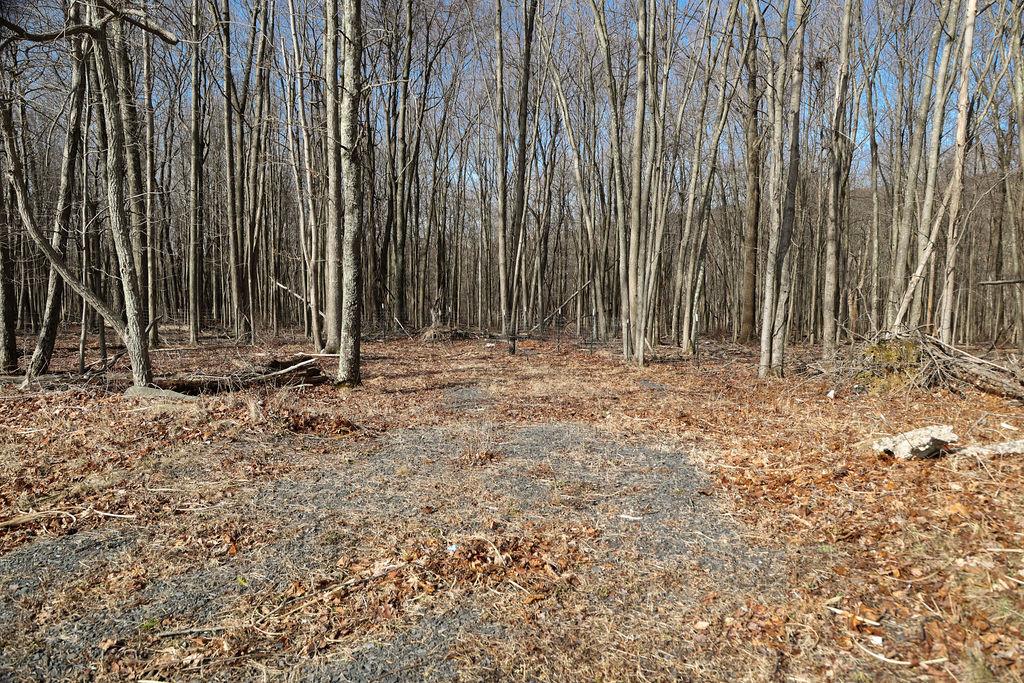 #2 photo, Schunnemunk, Highland Mills , NY 10930