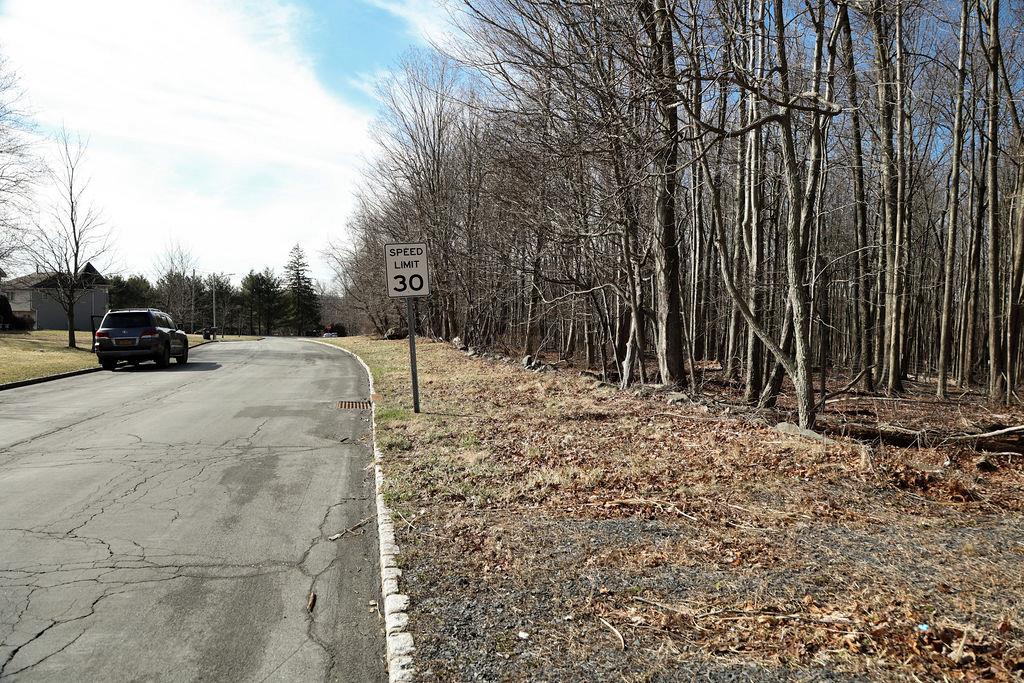 #3 photo, Schunnemunk, Highland Mills , NY 10930