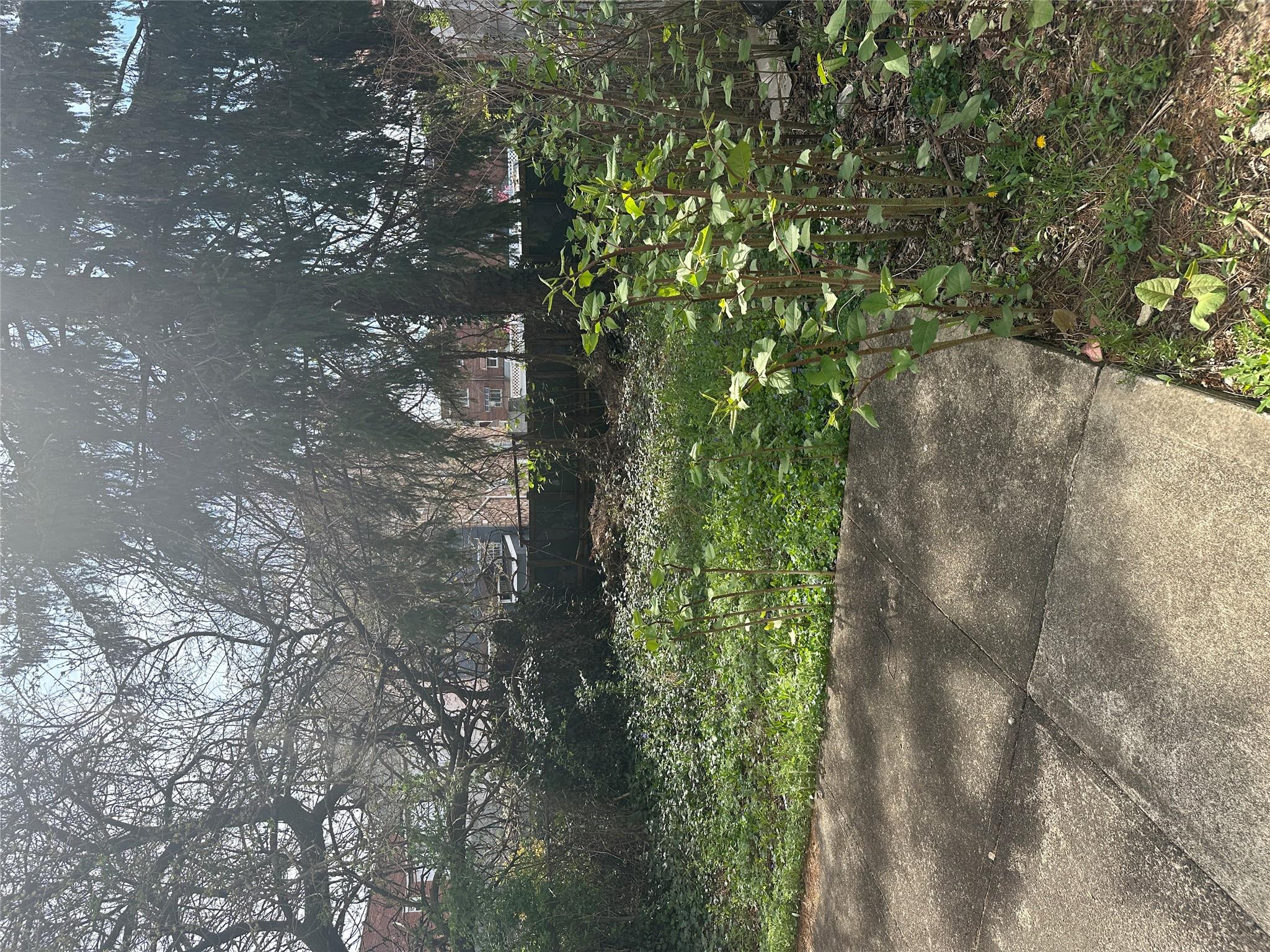 #12 photo, 433 Howe Avenue, Bronx , NY 10473