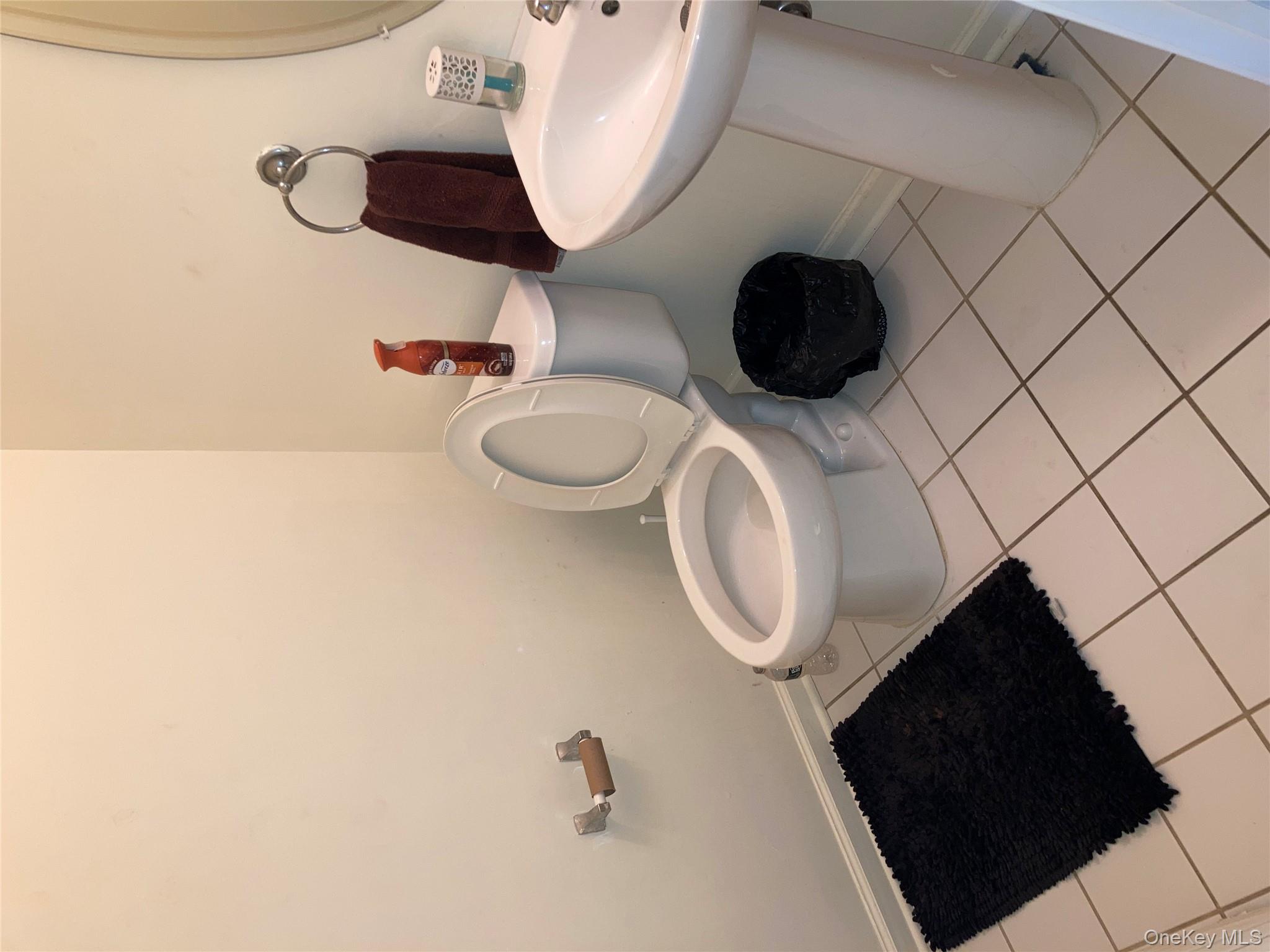 #19 photo, 3 Webster Court, Monroe , NY 10950