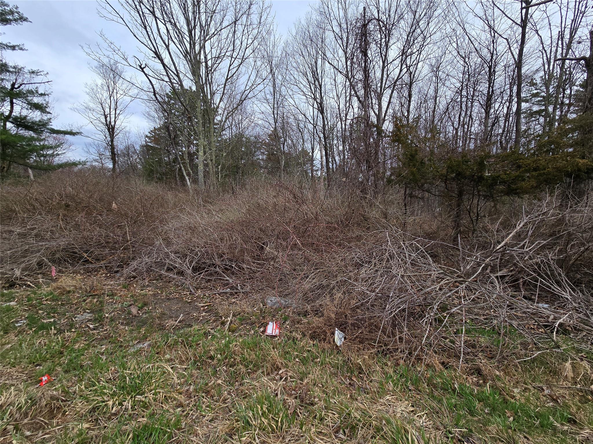 #2 photo, Fire Tower Rd, Bloomingburg , NY 12721