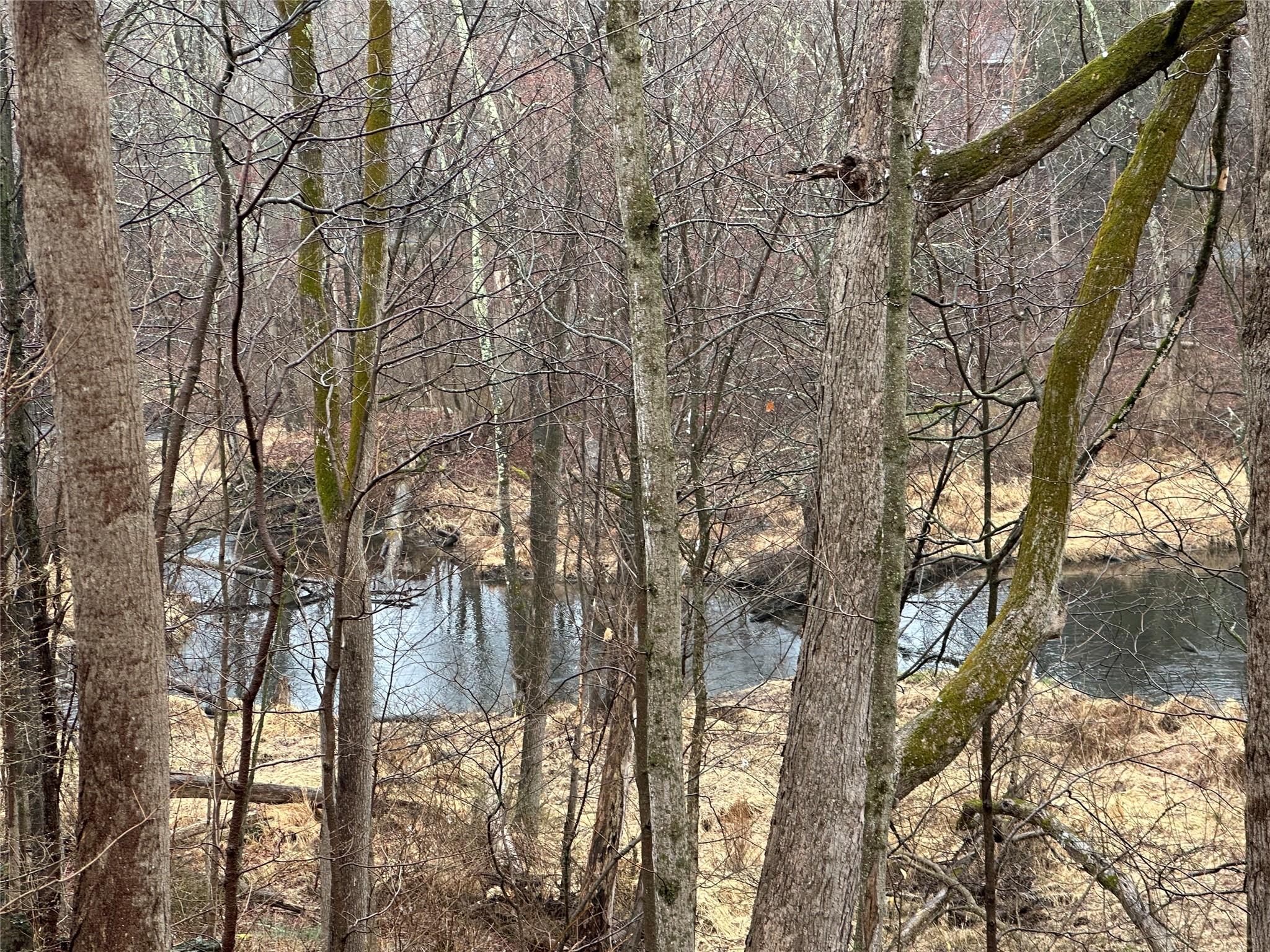 #17 photo, 451 New Paltz, Highland , NY 12528