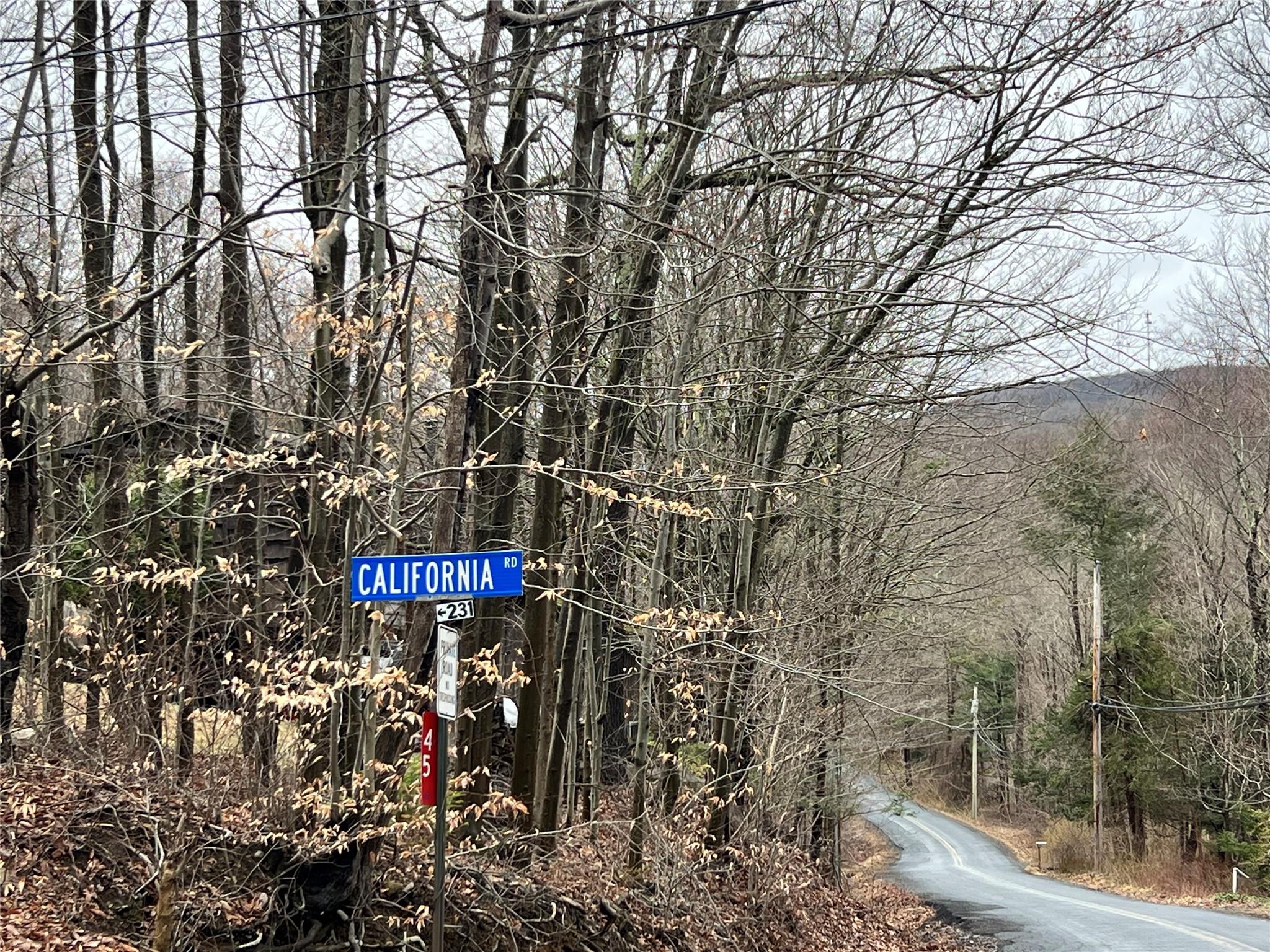 #2 photo, 41 California Road, Warwick , NY 10990