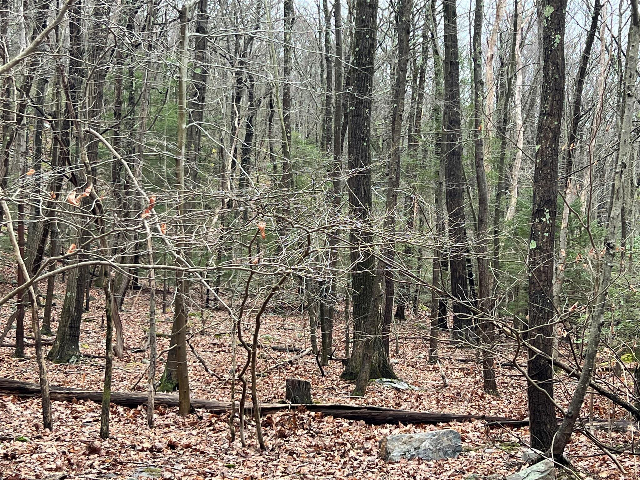 #3 photo, 41 California Road, Warwick , NY 10990