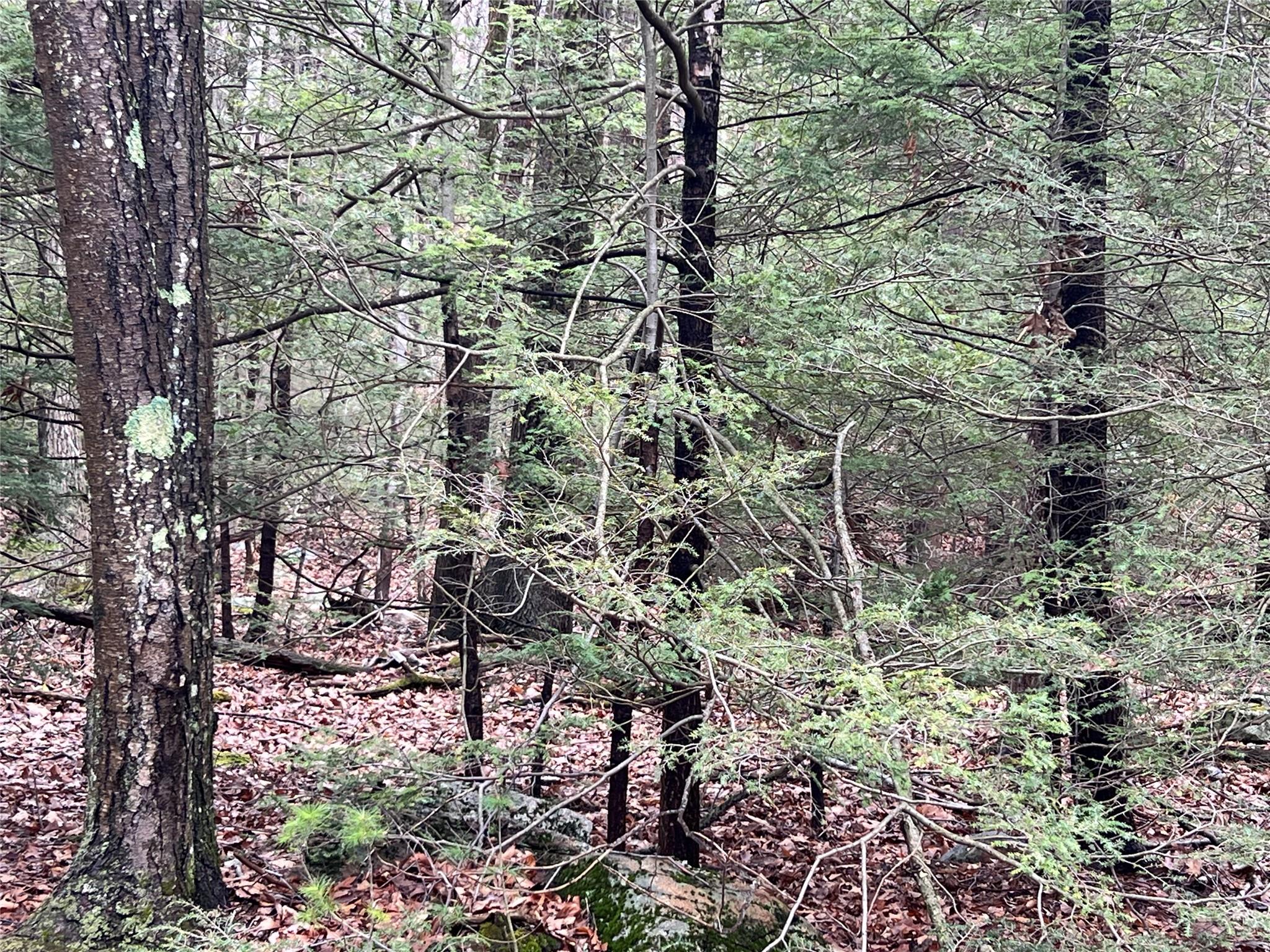 #4 photo, 41 California Road, Warwick , NY 10990