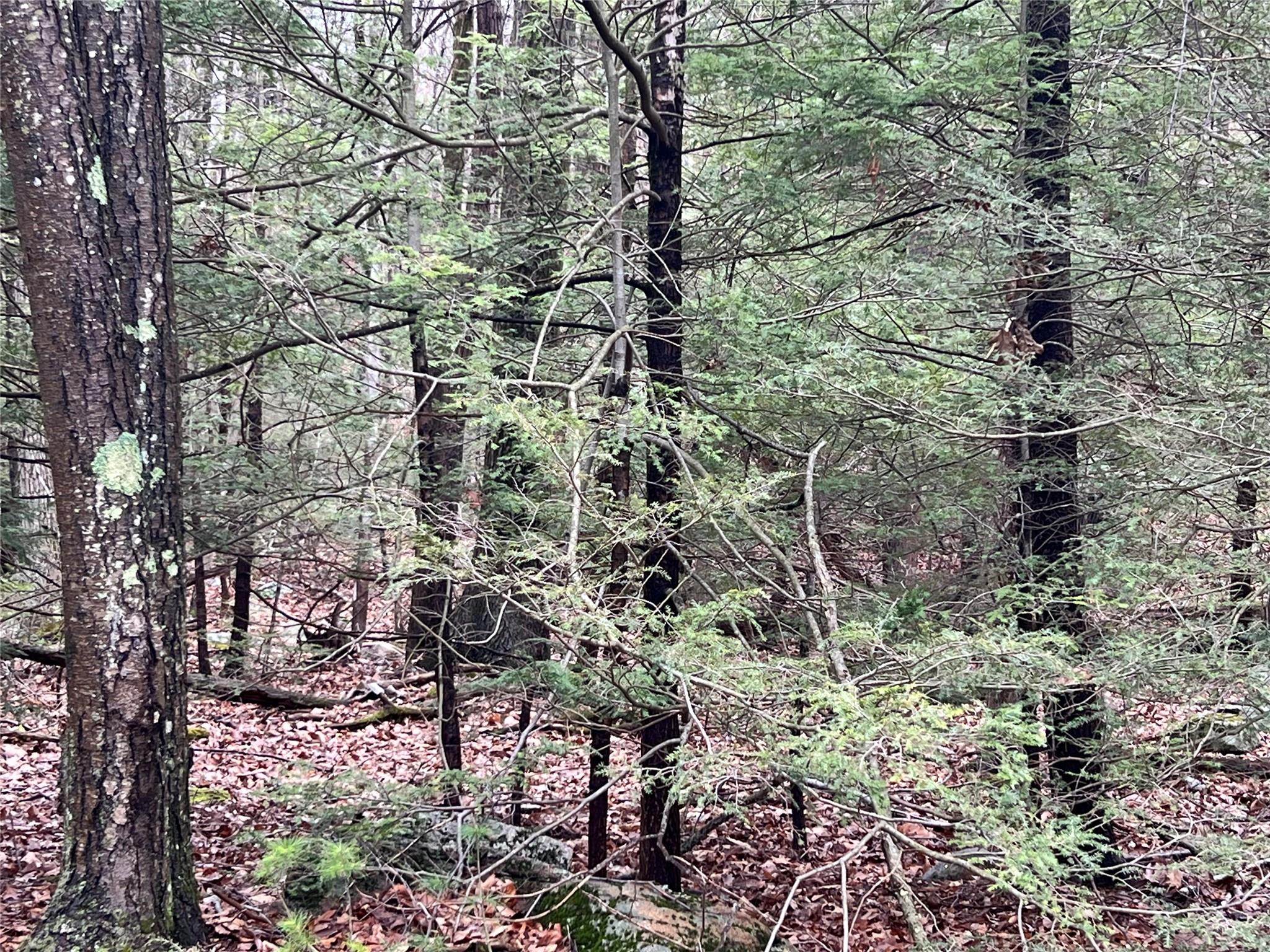 #5 photo, 41 California Road, Warwick , NY 10990