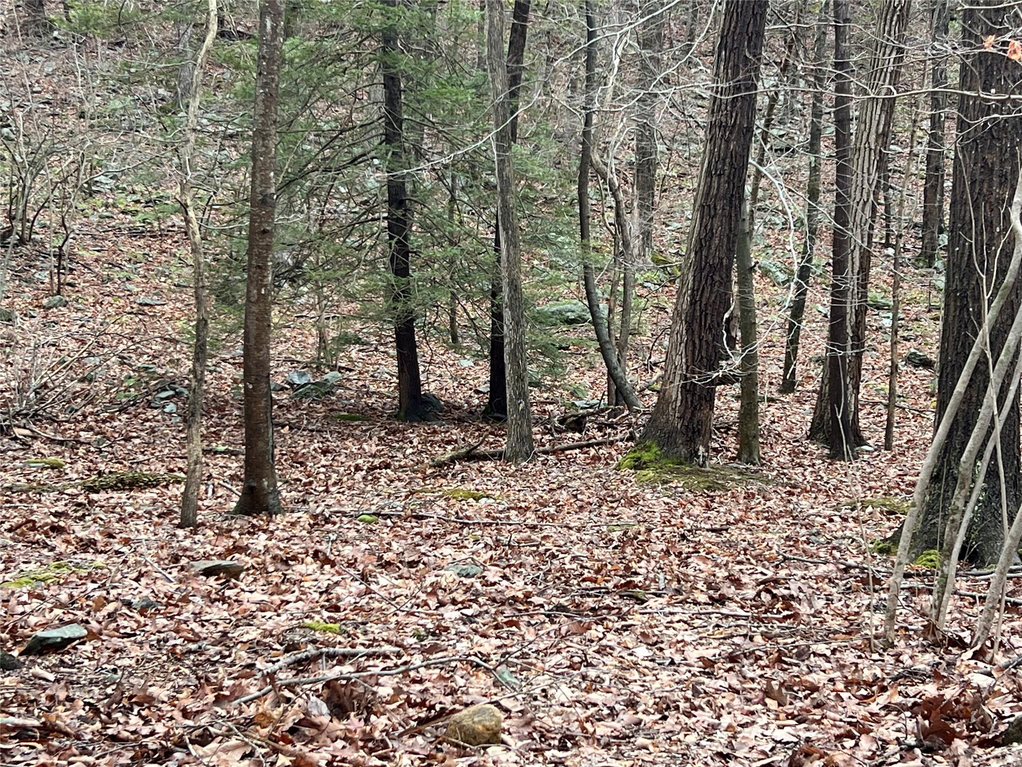 #6 photo, 41 California Road, Warwick , NY 10990