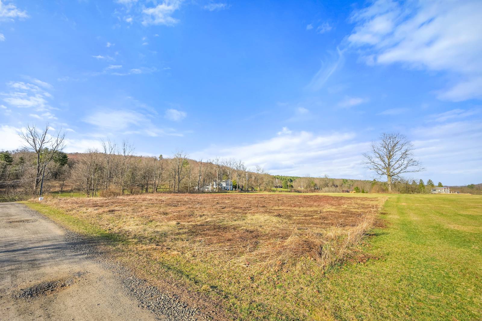 #10 photo, L43.3 Fairway Court, Afton , NY 13730