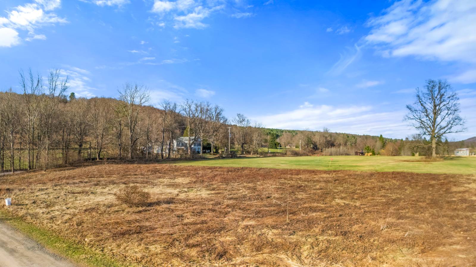 #6 photo, L43.3 Fairway Court, Afton , NY 13730