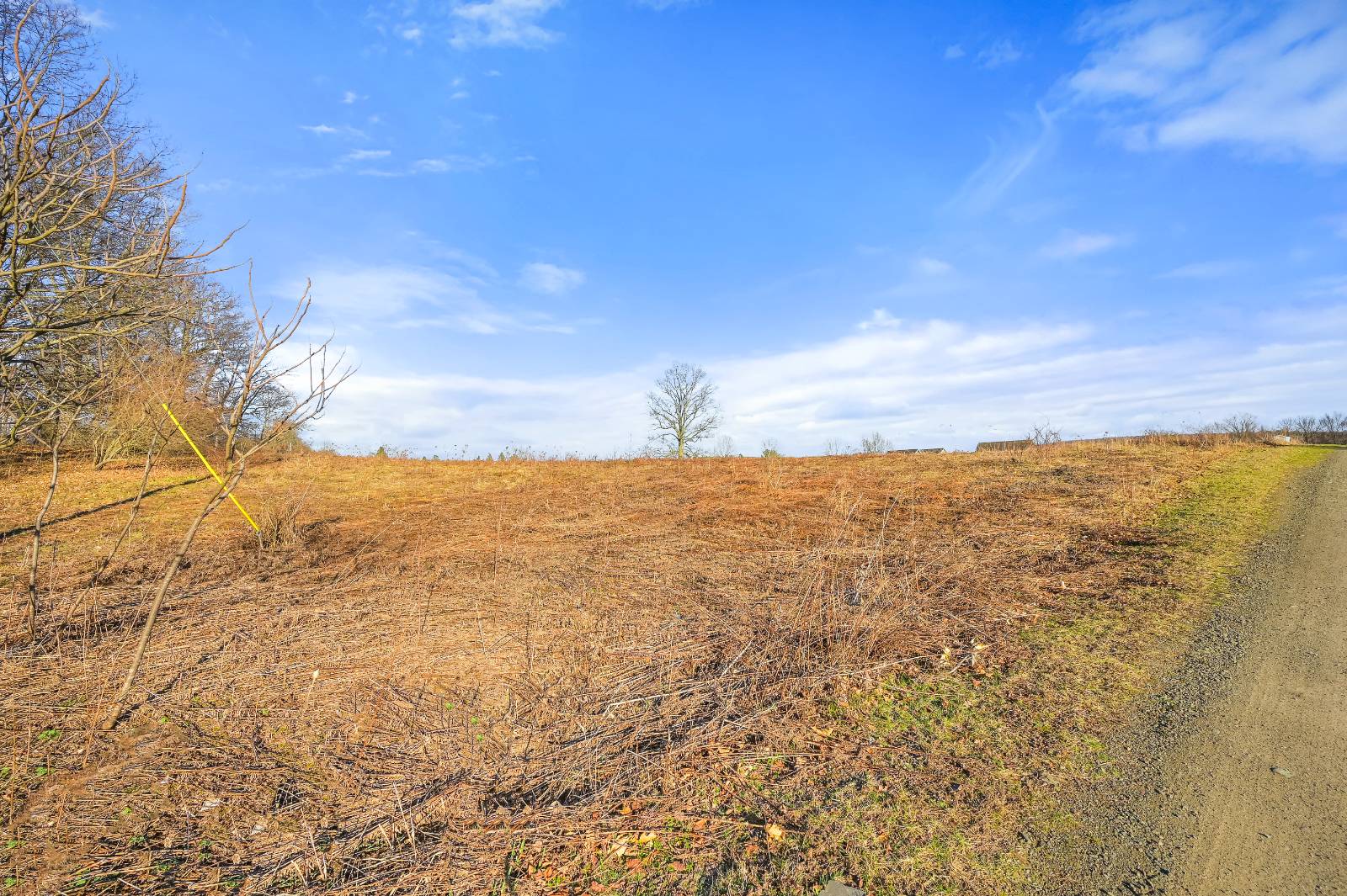 #8 photo, L43.3 Fairway Court, Afton , NY 13730