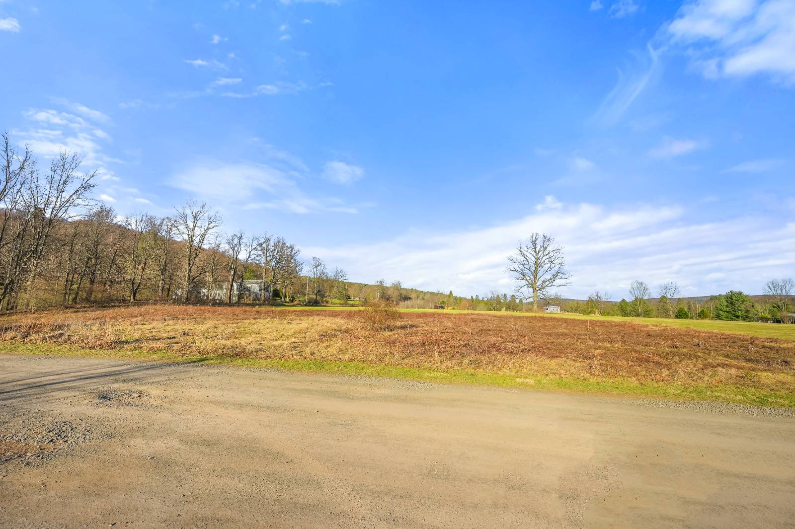 #9 photo, L43.3 Fairway Court, Afton , NY 13730