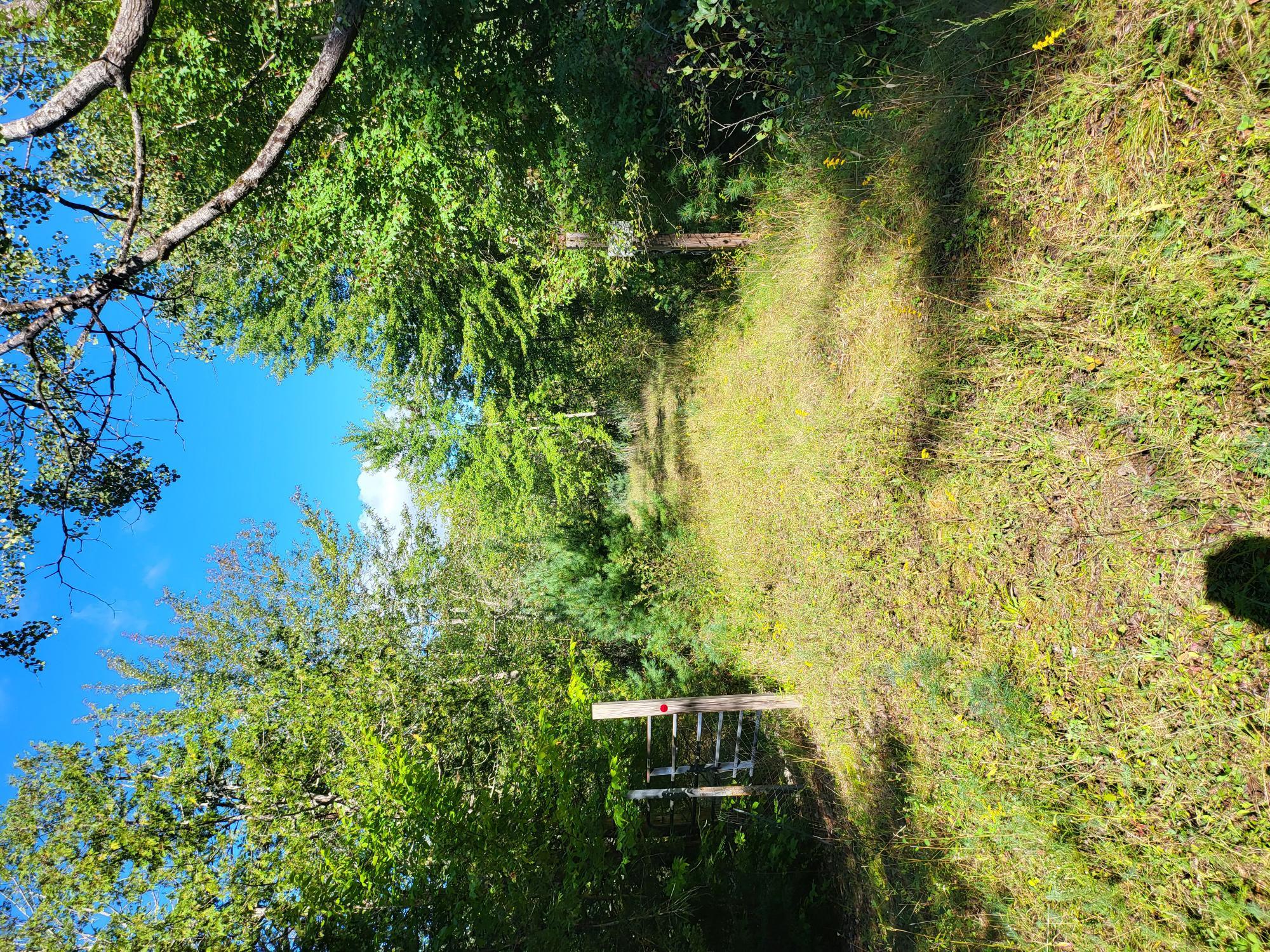 #6 photo, 64/109/119/4007 Peninsula Road, Call Listing Agent , NY 